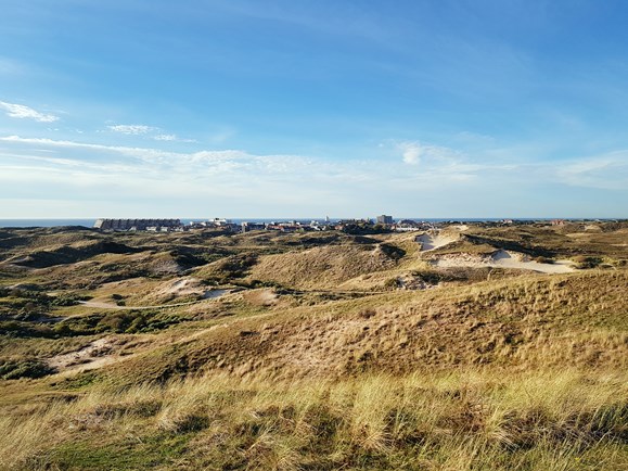 Uitzicht over de duinen van Egmond